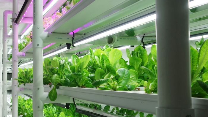 промстан лотки для теплиц