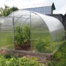 Arched, gable and Droplet: an overview of the advantages and disadvantages of greenhouses