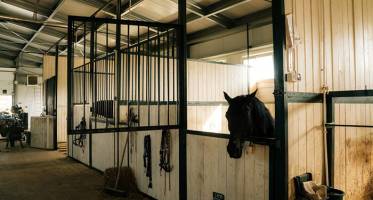 Конюшни, манежи