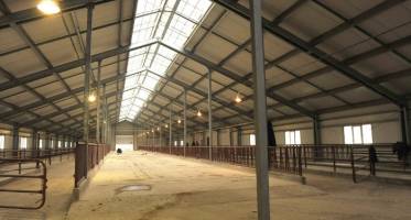 Птицефермы